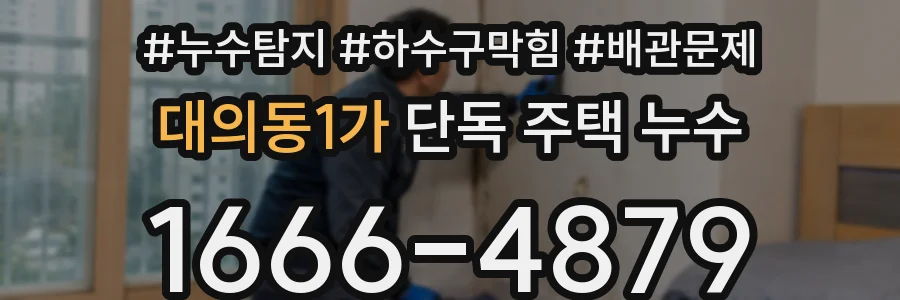 대의동1가 단독 주택 누수