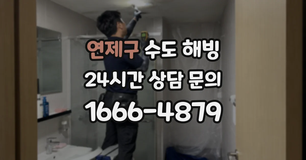 연제구 수도 해빙
