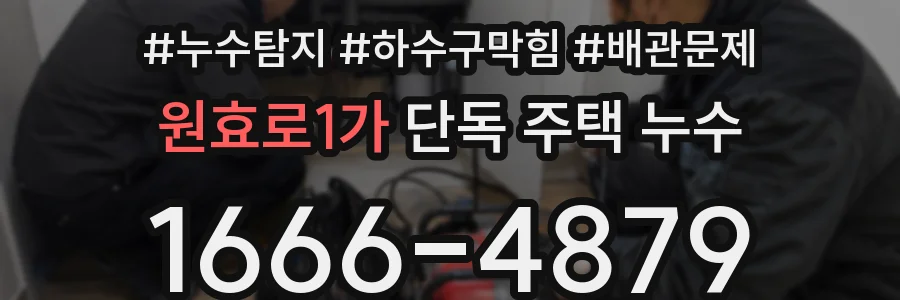 원효로1가 단독 주택 누수