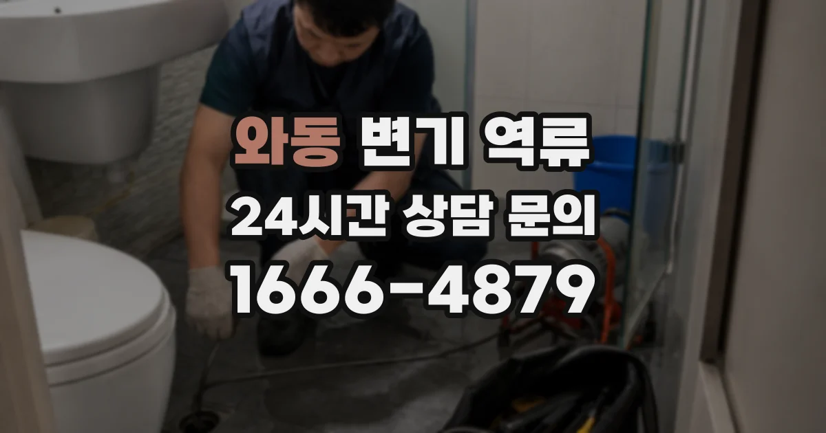 와동 변기 역류