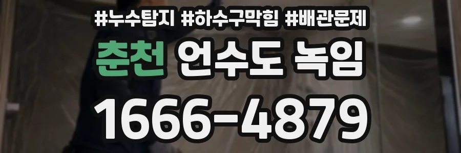 춘천 언수도 녹임