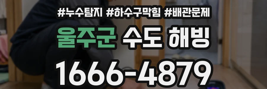 울주군 수도 해빙