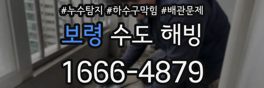 보령 수도 해빙