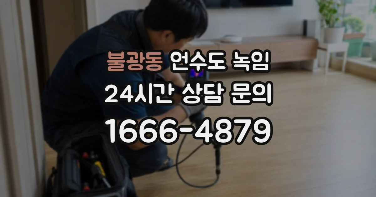 불광동 언수도 녹임