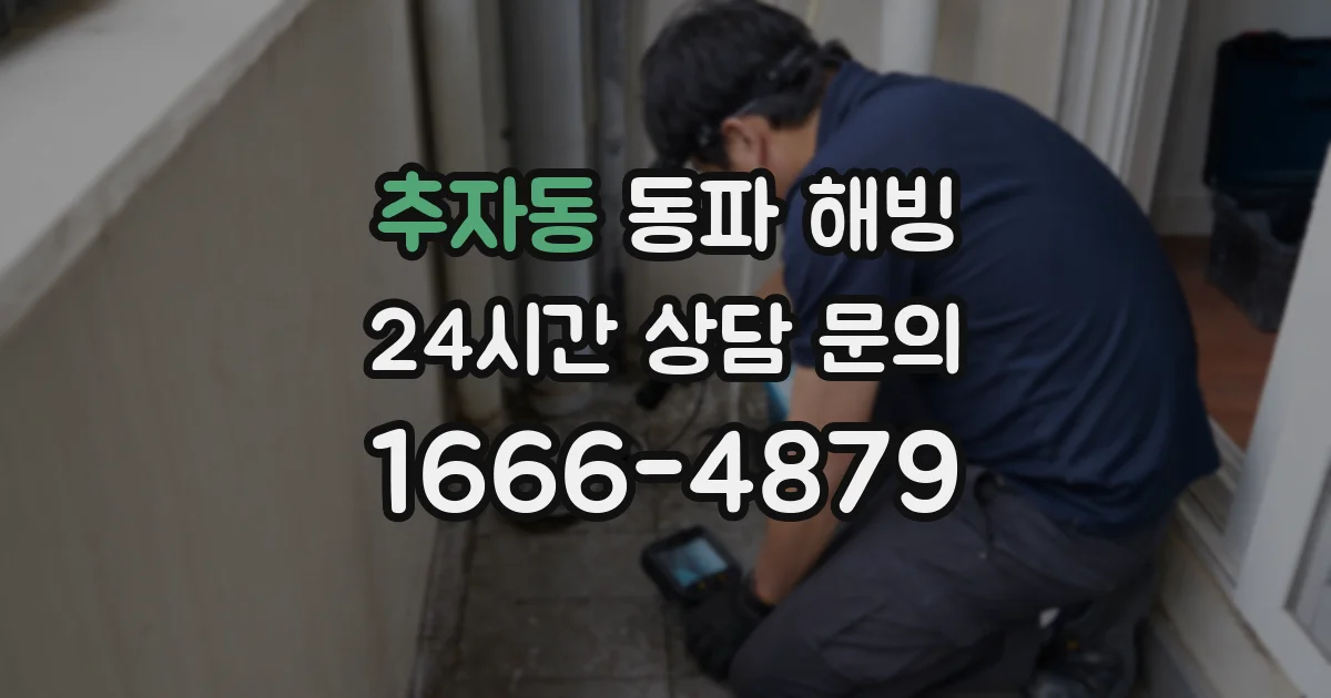 추자동 동파 해빙