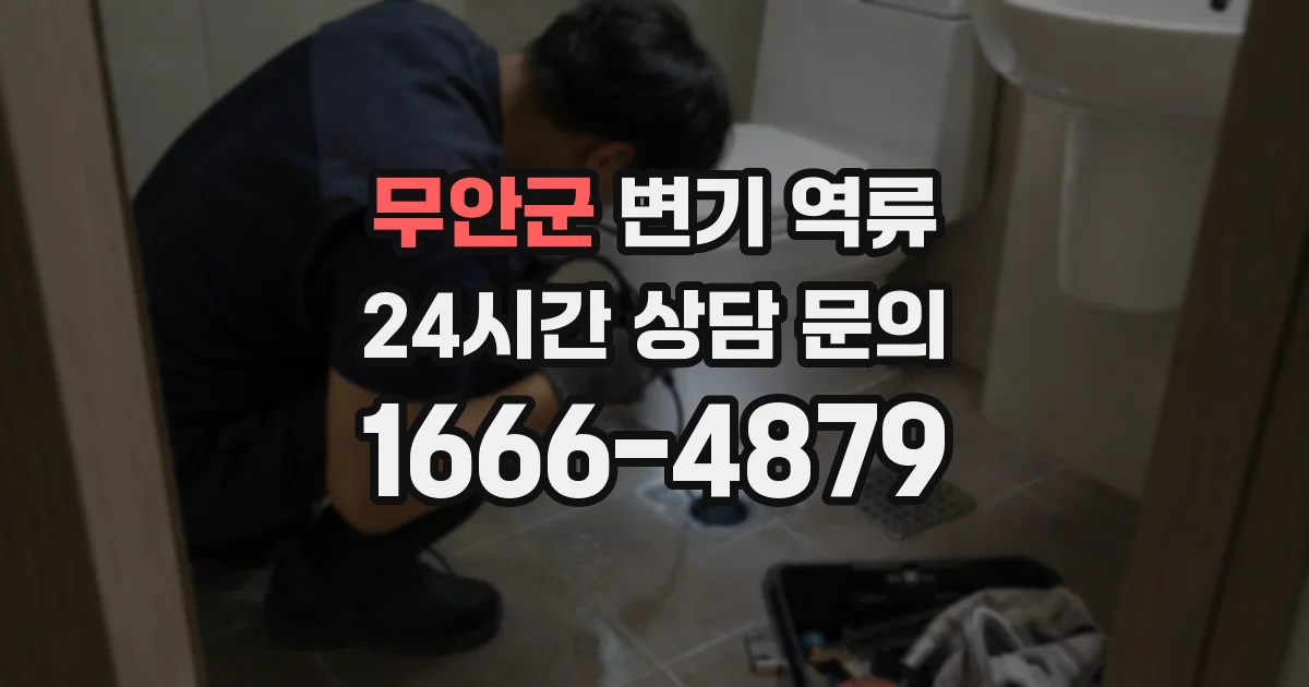 무안군 변기 역류