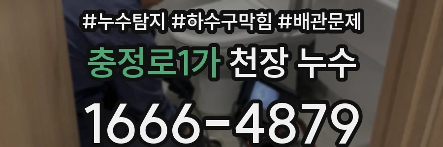 충정로1가 천장 누수