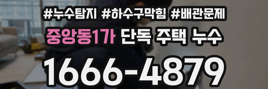 중앙동1가 단독 주택 누수