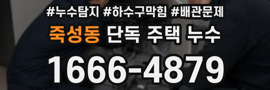 죽성동 단독 주택 누수