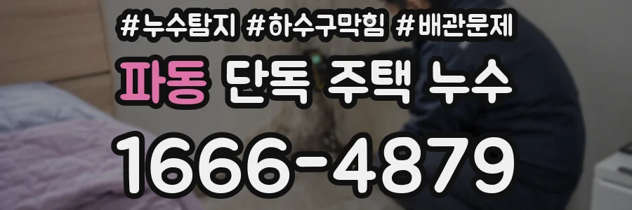 파동 단독 주택 누수