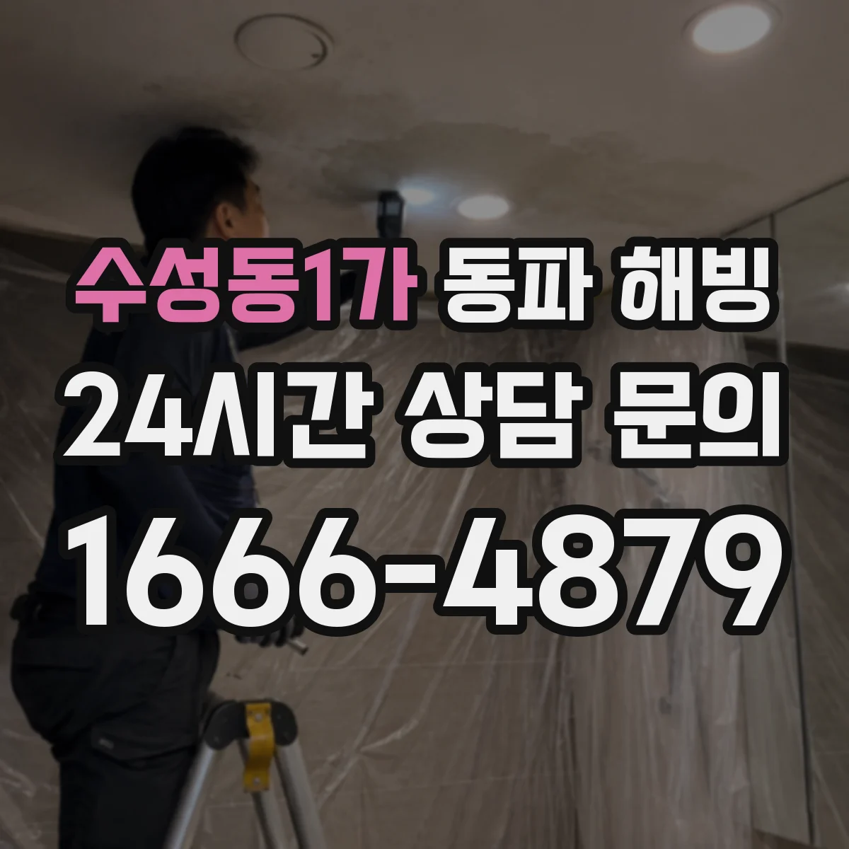 수성동1가 동파 해빙