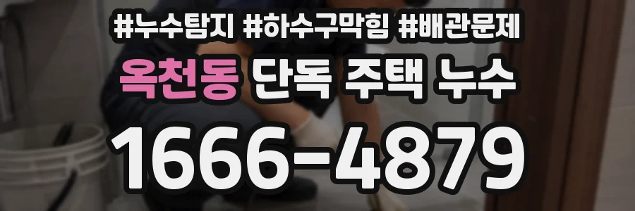 옥천동 단독 주택 누수