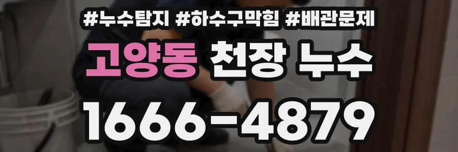 고양동 천장 누수