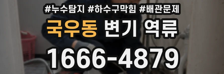 국우동 변기 역류