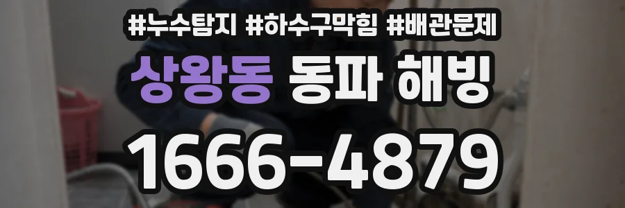 상왕동 동파 해빙