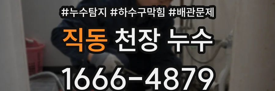 직동 천장 누수