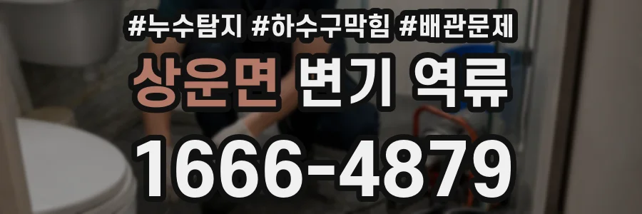 상운면 변기 역류