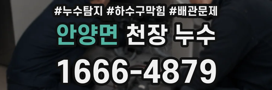 안양면 천장 누수