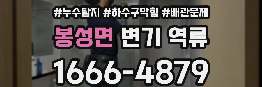봉성면 변기 역류