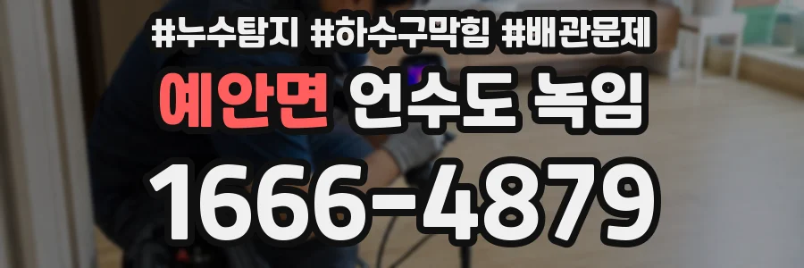 예안면 언수도 녹임