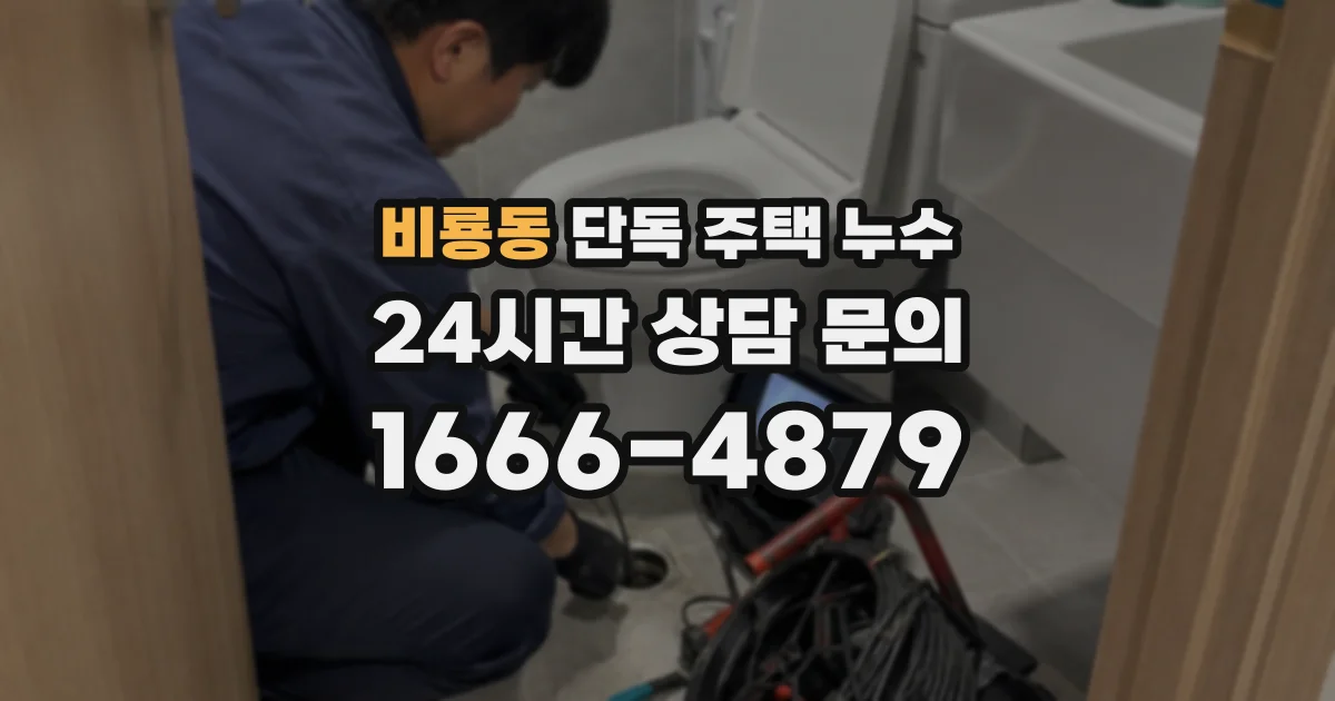 비룡동 단독 주택 누수