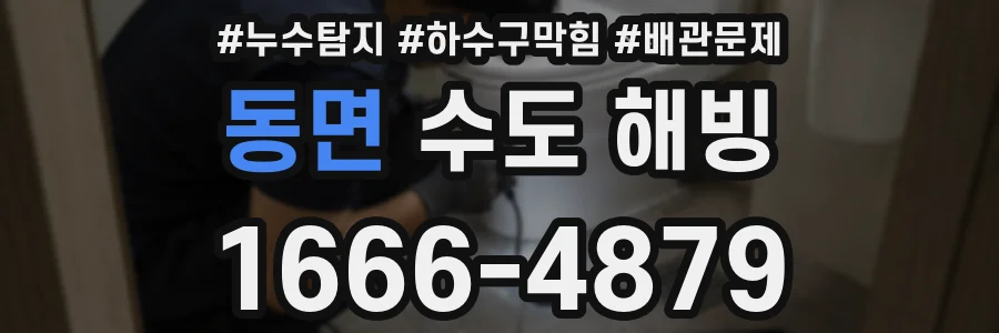 동면 수도 해빙