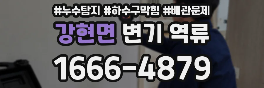 강현면 변기 역류