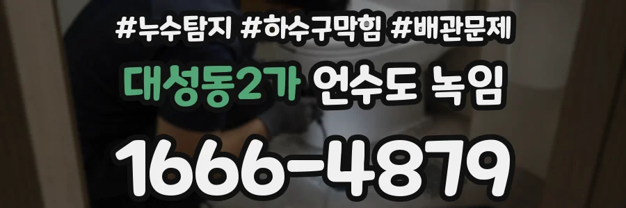 대성동2가 언수도 녹임