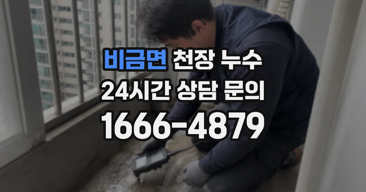 비금면 천장 누수