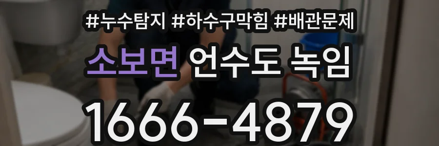 소보면 언수도 녹임