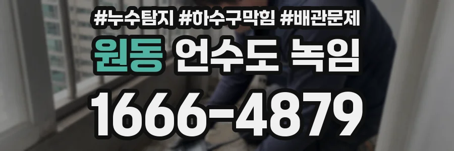 원동 언수도 녹임