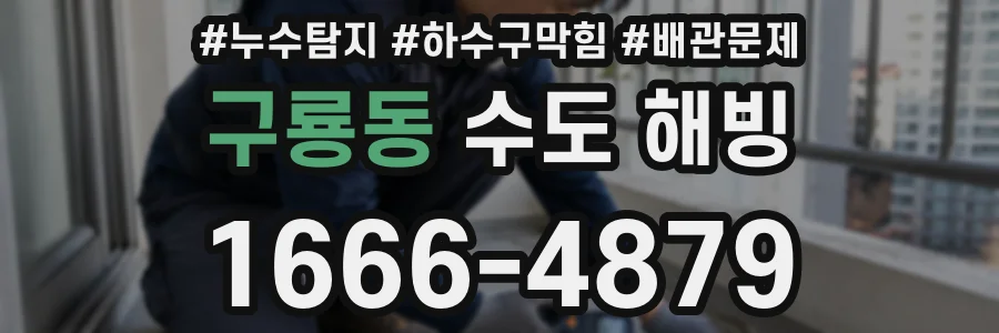 구룡동 수도 해빙