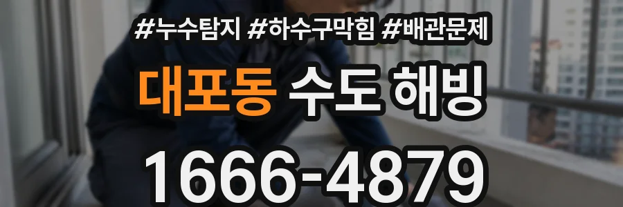 대포동 수도 해빙