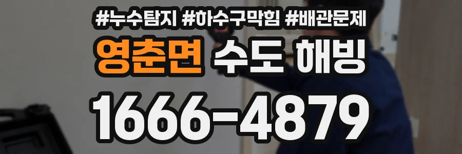 영춘면 수도 해빙