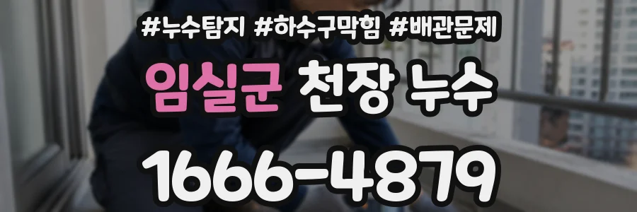 임실군 천장 누수