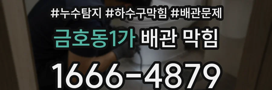금호동1가 배관 막힘