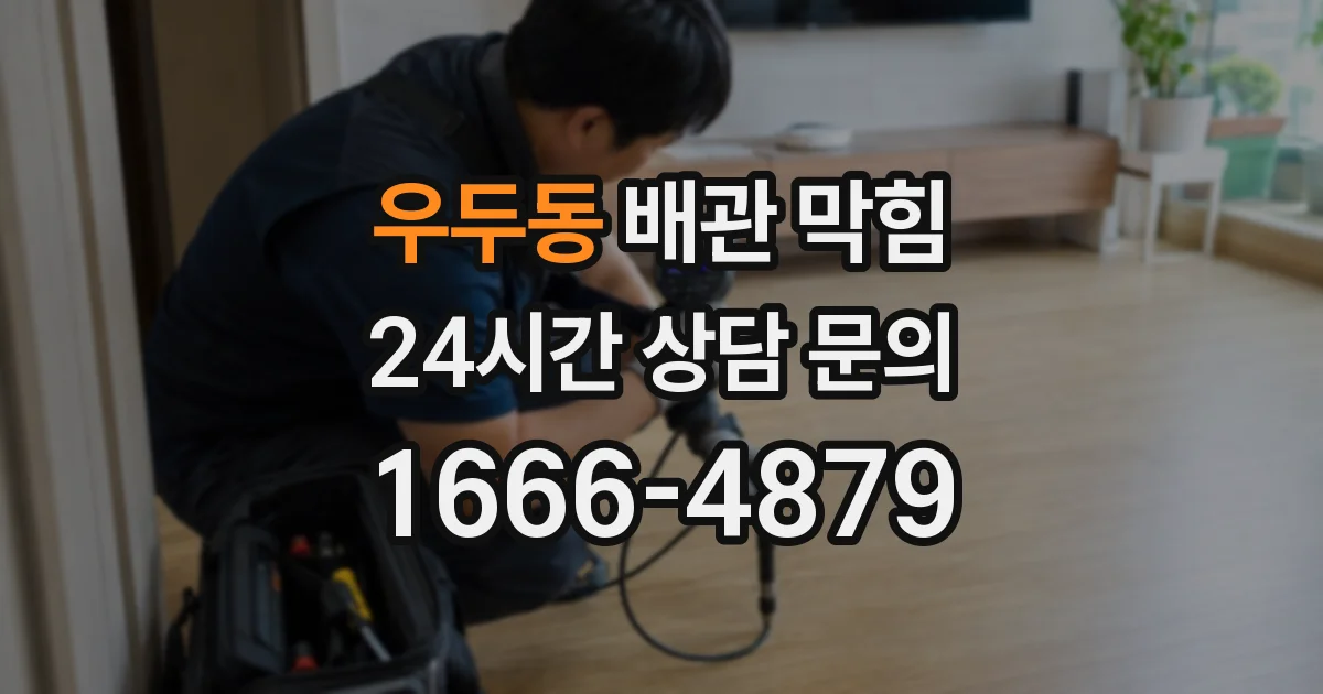 우두동 배관 막힘
