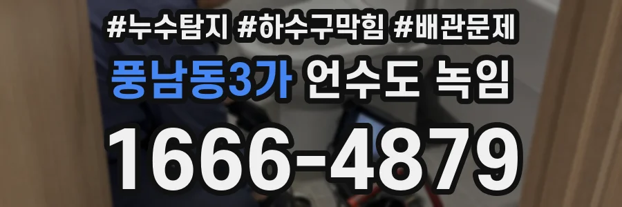 풍남동3가 언수도 녹임
