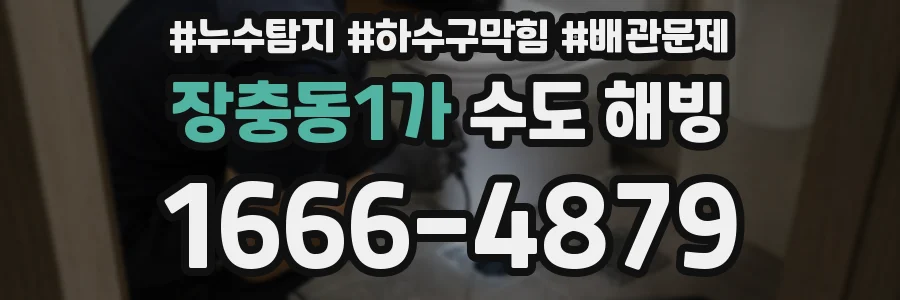 장충동1가 수도 해빙
