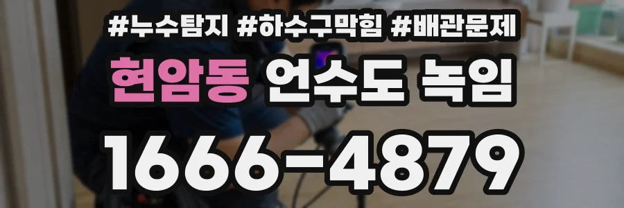 현암동 언수도 녹임