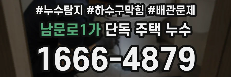 남문로1가 단독 주택 누수