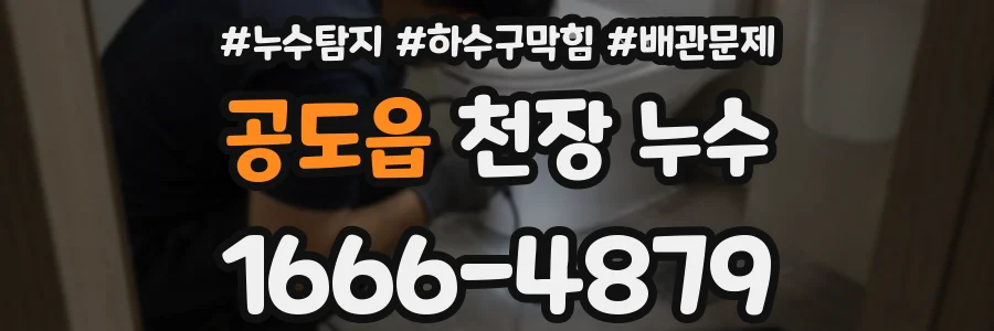 공도읍 천장 누수
