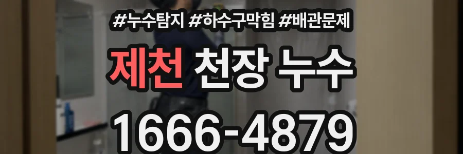 제천 천장 누수