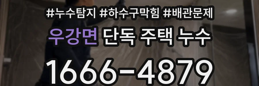 우강면 단독 주택 누수