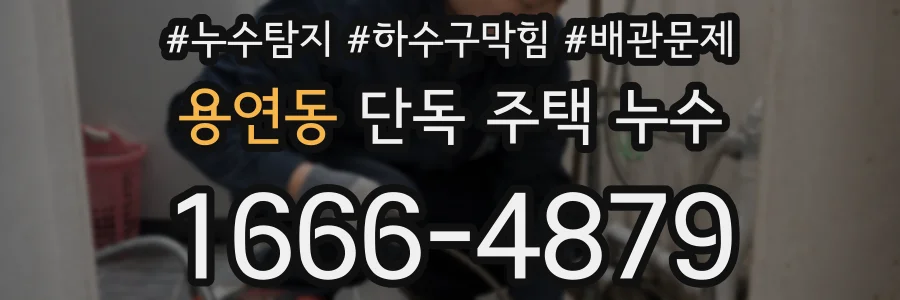 용연동 단독 주택 누수