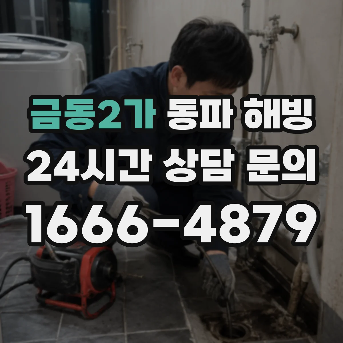 금동2가 동파 해빙