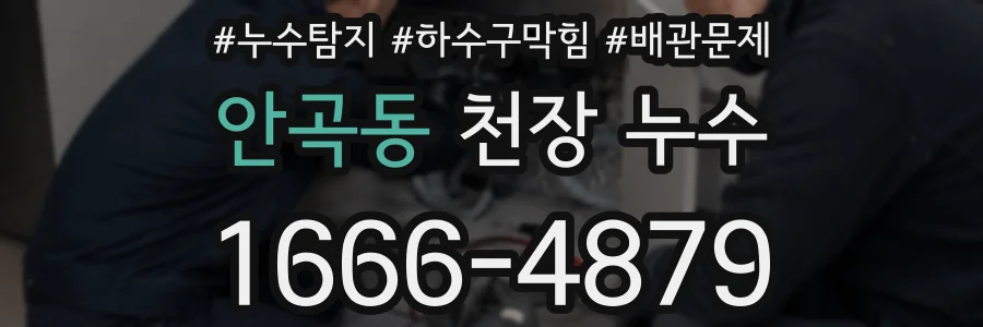 안곡동 천장 누수