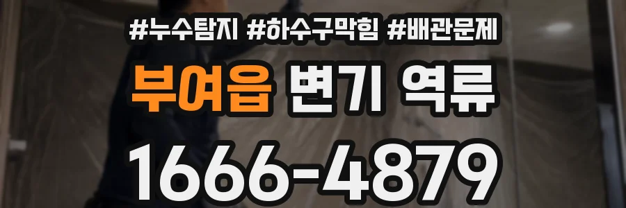 부여읍 변기 역류
