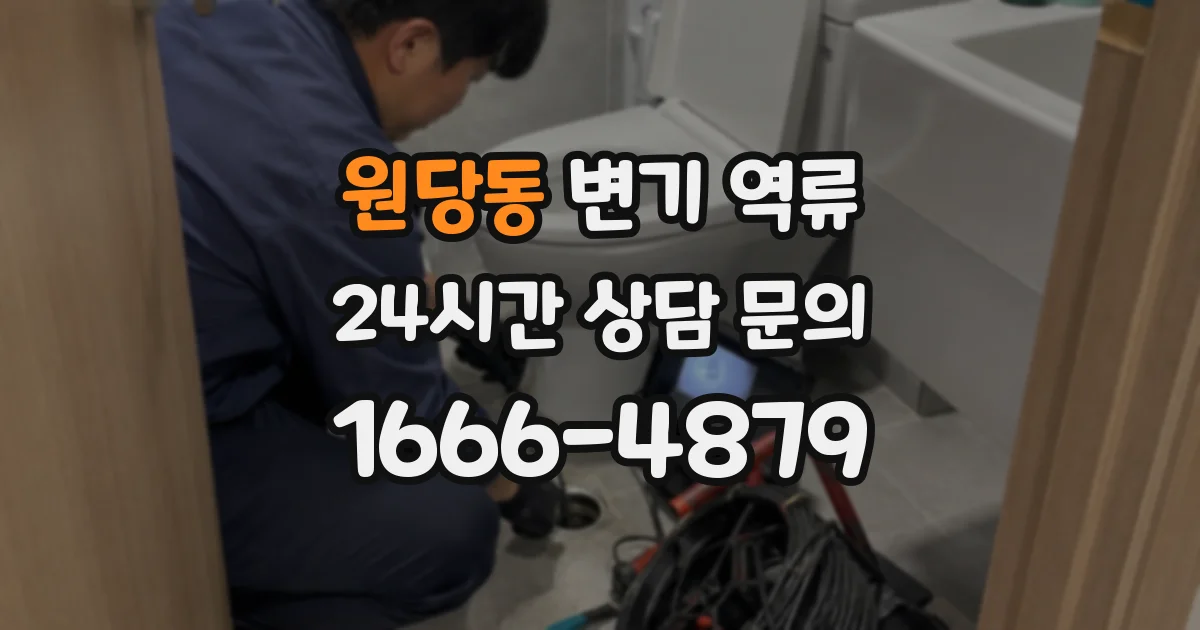 원당동 변기 역류