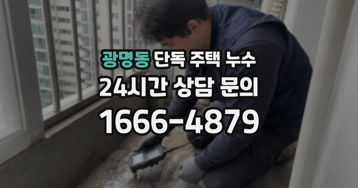 광명동 단독 주택 누수